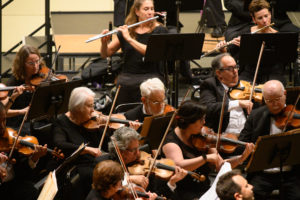 BCSO Violin Section