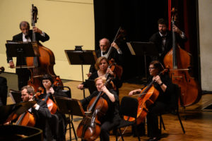 BCSO Cellos & Basses